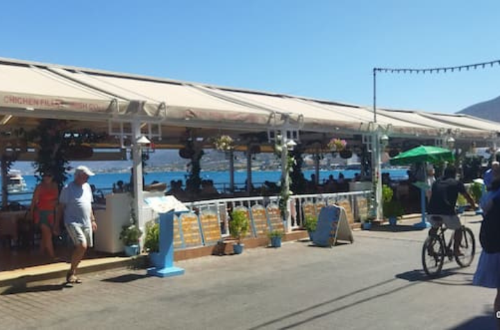 Untitled design (7) Untitled design (7)